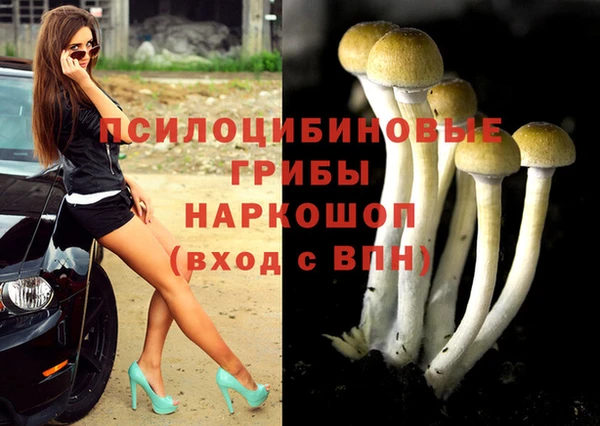 мескалин Беломорск