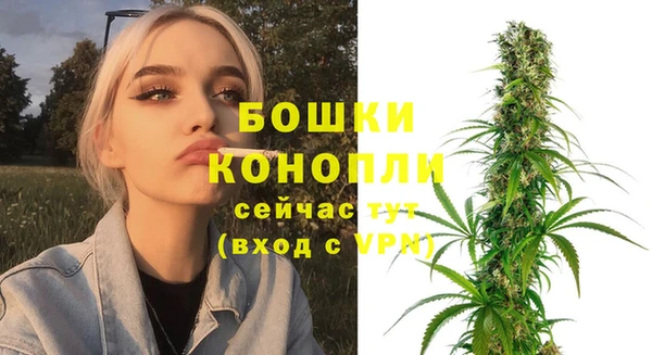 ECSTASY Белокуриха