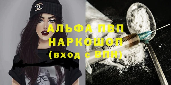 ECSTASY Белокуриха