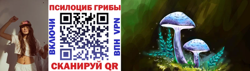 Галлюциногенные грибы Psilocybe  Череповец 